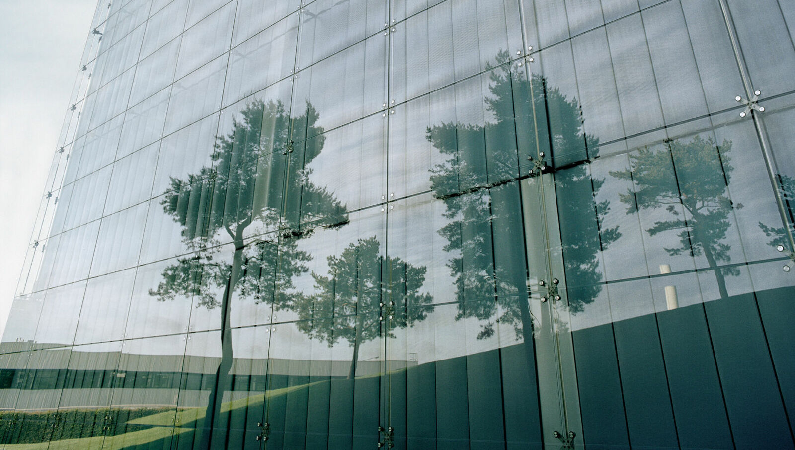 Reflection of trees on the glass facade of a modern building. The glass structure, with visible fastening elements, creates an abstract overlay of nature and architecture. The scene blends the organic shapes of the trees with the geometric lines of the facade.