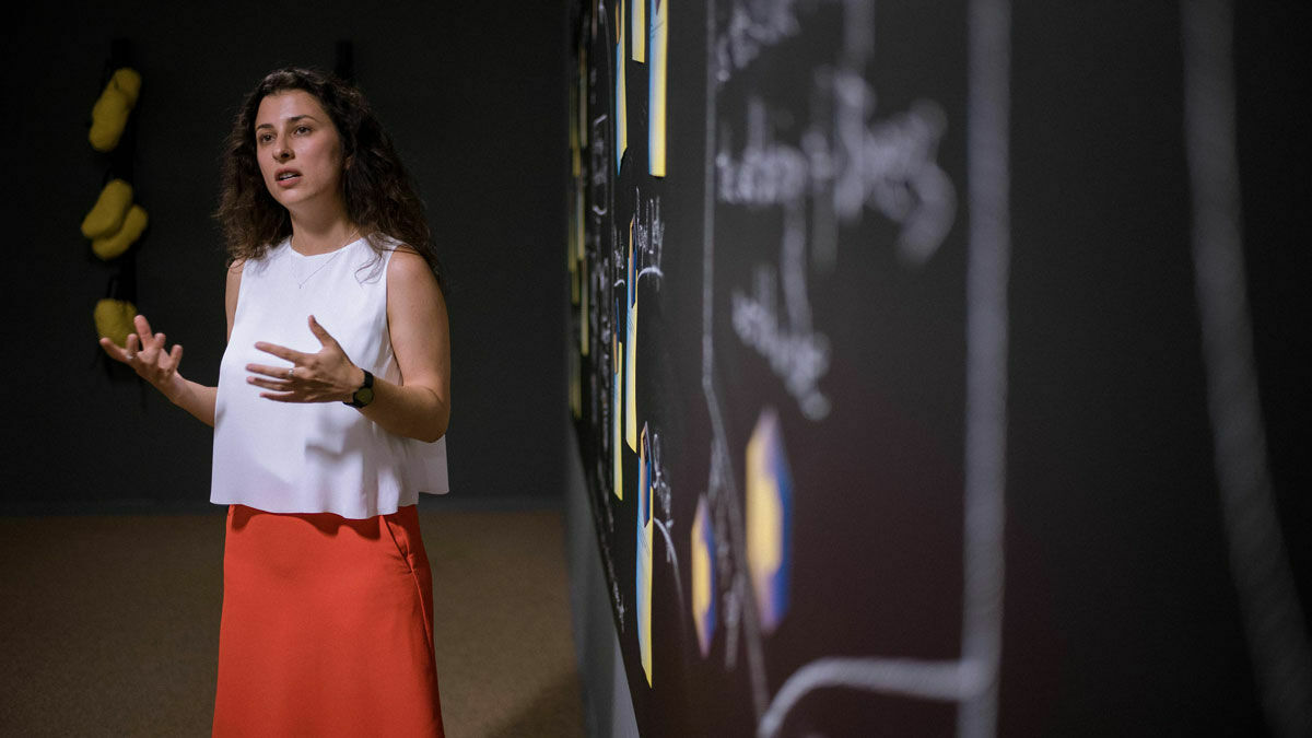 A woman with curly hair, wearing a white top and a red skirt, stands in front of a large chalkboard with handwritten notes and diagrams, gesturing during a presentation.