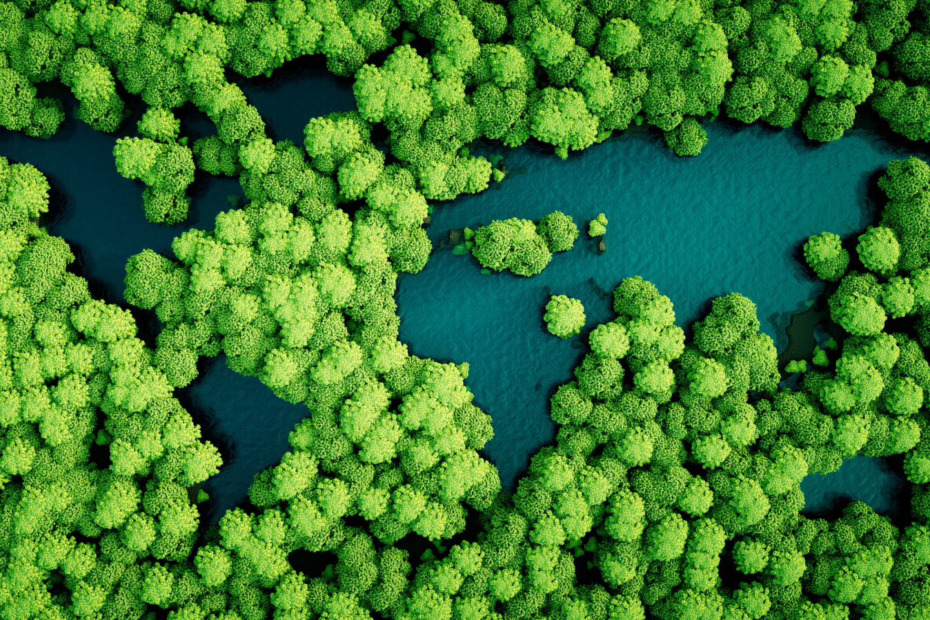 Trees