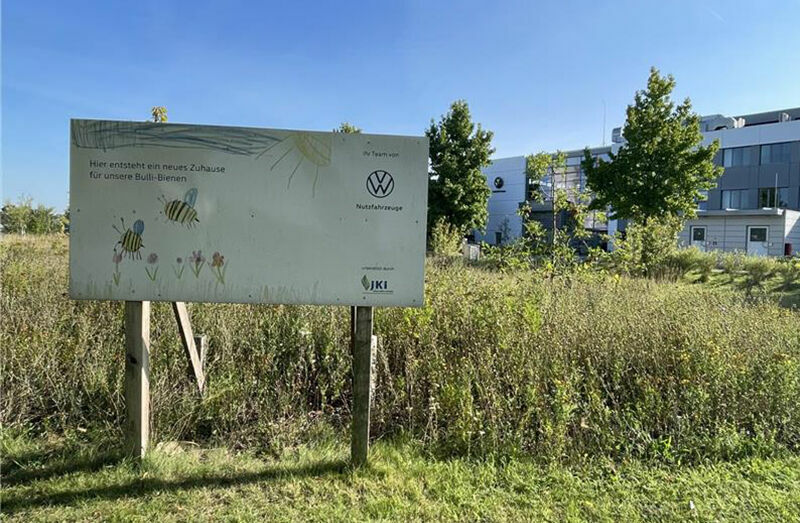 A meadow with a sign that reads: "A new home is being created here for our Bulli bees." Trees and a modern building are visible in the background.